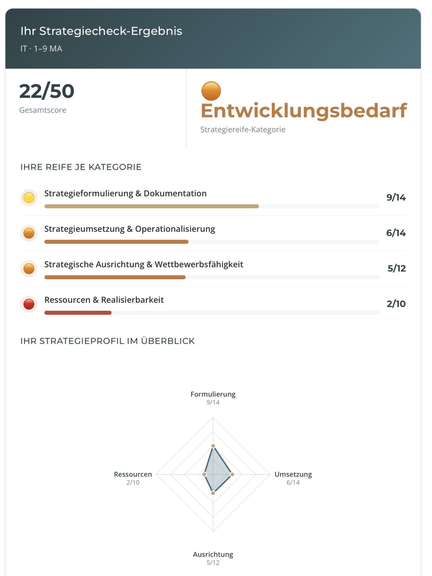 Beispielhafte Auswertung des Strategie-Checks: Gesamtscore und Reifegrad je Kategorie